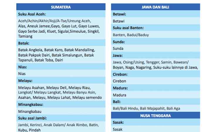Jumlah suku terbanyak di indonesia